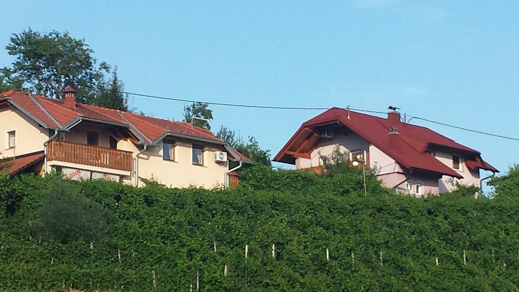 Apartment House Sumrak Bizeljsko Eksteriør billede